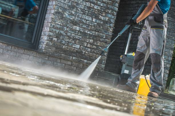 Best Roof Cleaning and Mildew Removal in Millington, TN